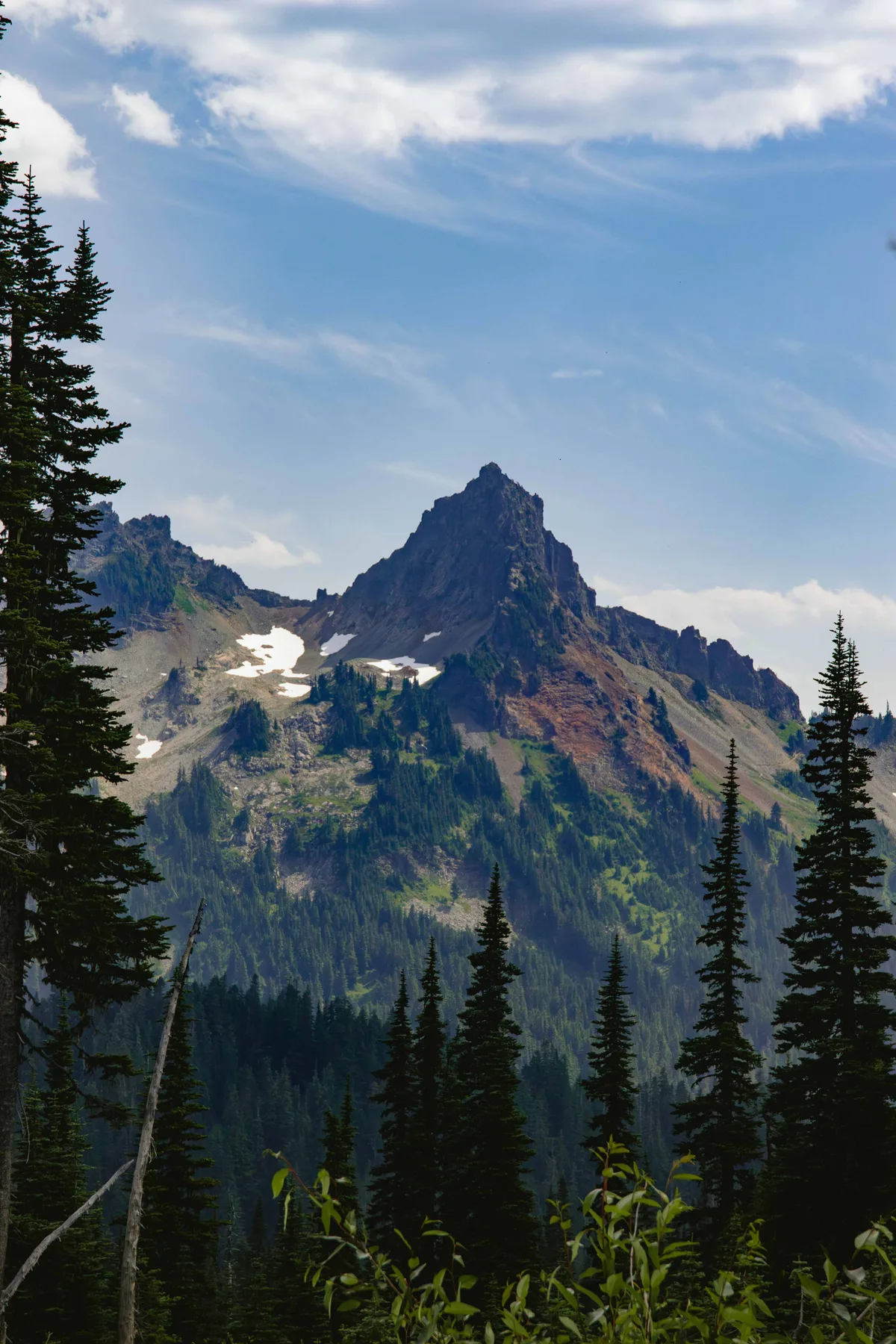 A sharp rocky peak rising above a green slope with a patch of lingering snow, framed by evergreens under a bright blue sky.