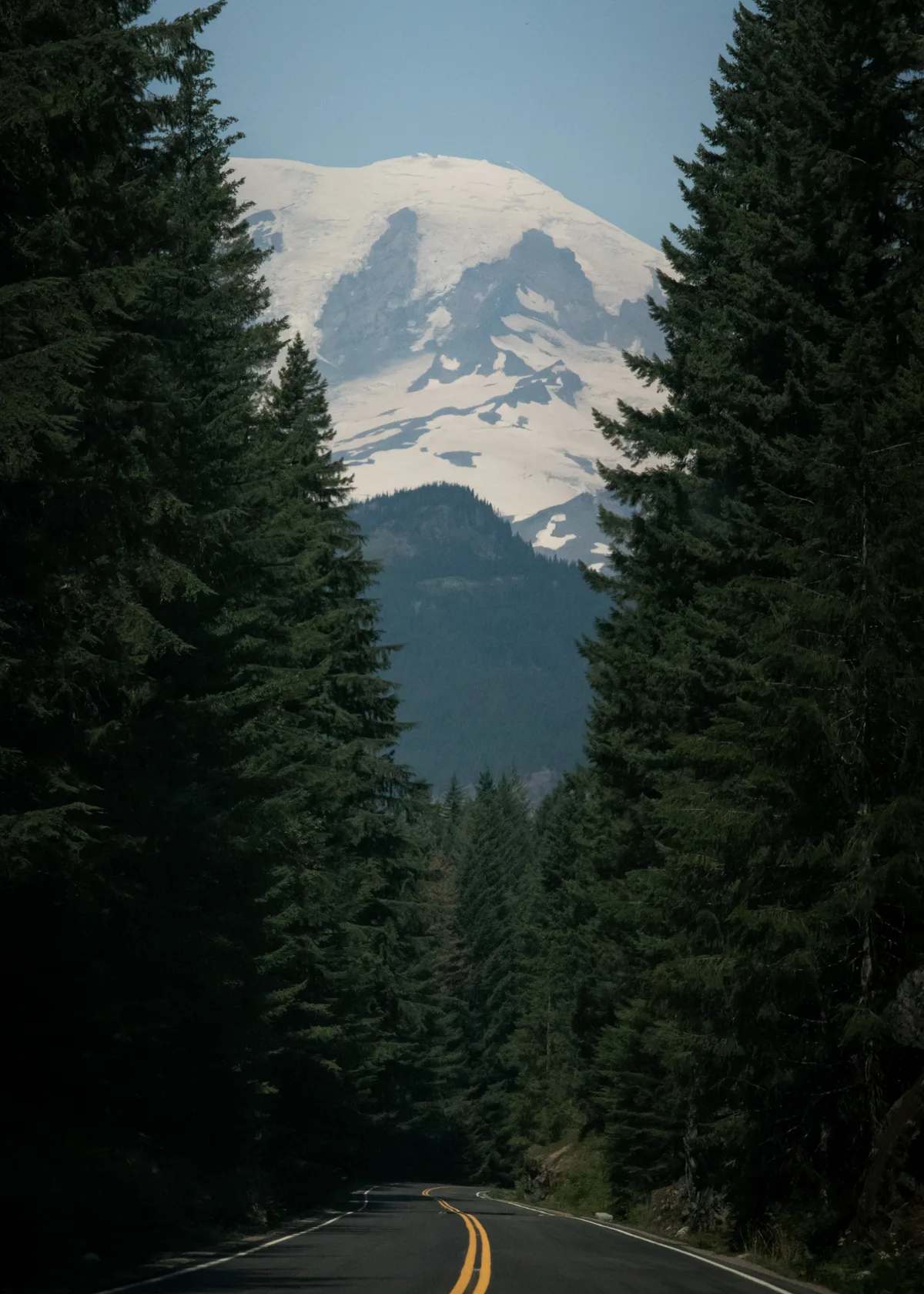 A two-lane road running between walls of tall evergreens toward the snow-capped peak of Mount Rainier in the distance.
